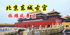 老太太BB中国北京-东城古宫旅游风景区